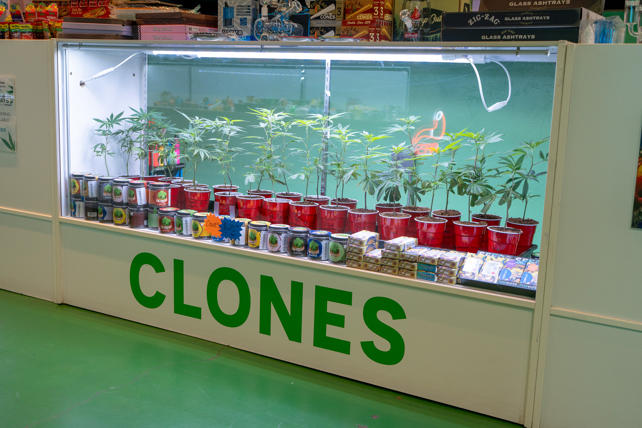 DSC00572 High Ways Dispensary Cannabis Vapes Clones Cannabis Clones Weed Clones Marijuana Plant Clones Seeds MJ Seeds